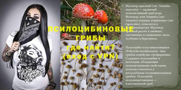 таблы Аркадак