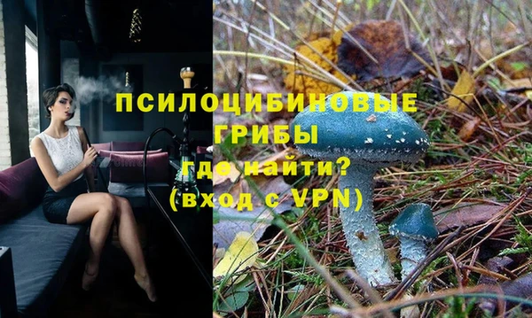 экстази Арсеньев
