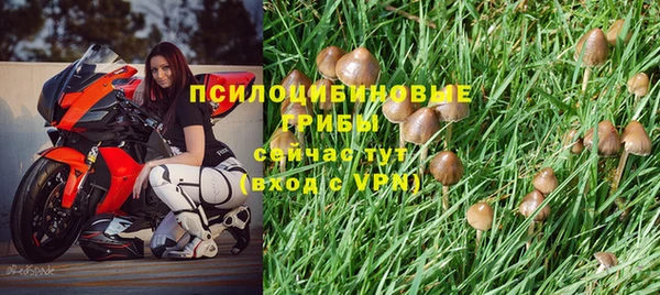 таблы Аркадак
