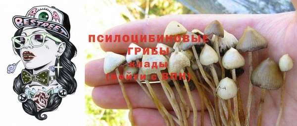 экстази Арсеньев