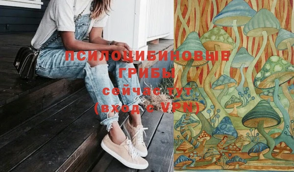 Альфа ПВП Армянск