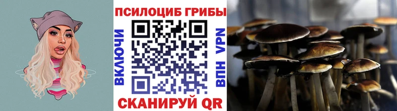продажа наркотиков  Серов  Псилоцибиновые грибы прущие грибы 